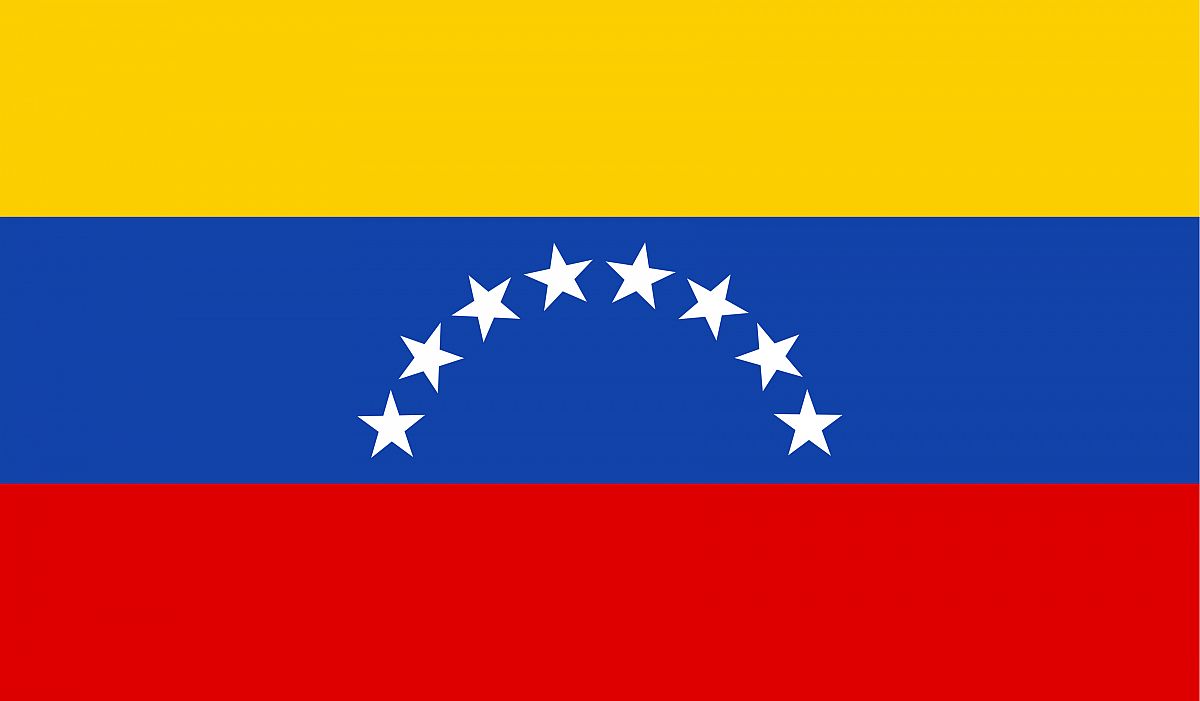 Venezuelan Flag